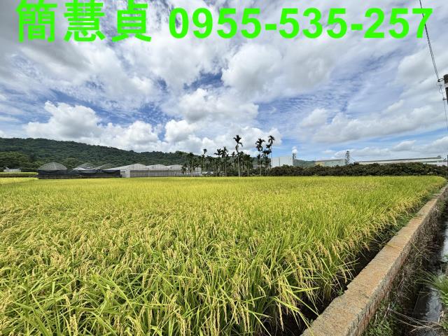 南投農地-1