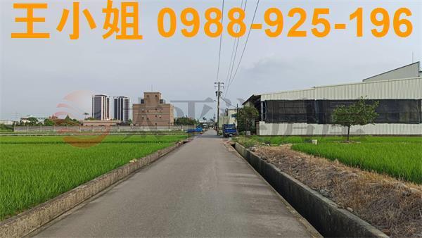 蘆竹農地-9