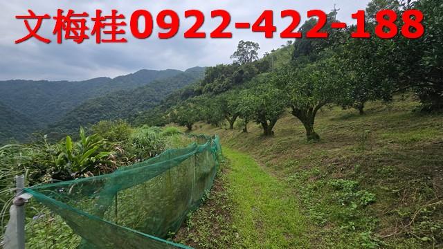 員山農地-13