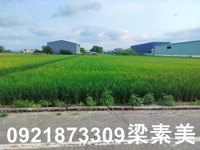 歸仁農地-2