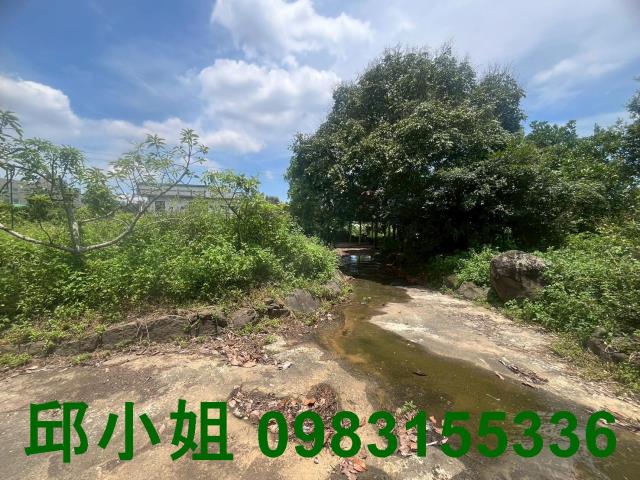 中埔農地-11