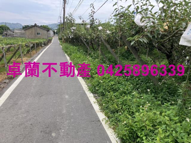 苗栗卓蘭農地-0