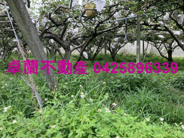 苗栗卓蘭農地-1