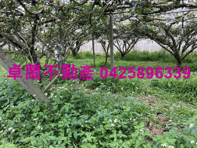 苗栗卓蘭農地-2