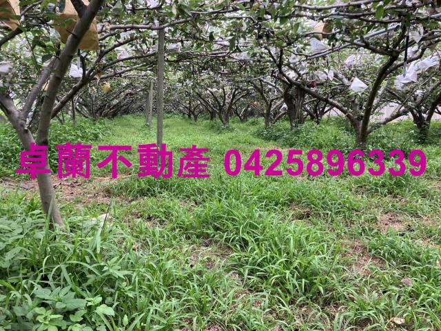 苗栗卓蘭農地-3