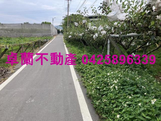 苗栗卓蘭農地-4