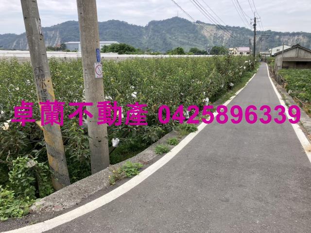 苗栗卓蘭農地-8