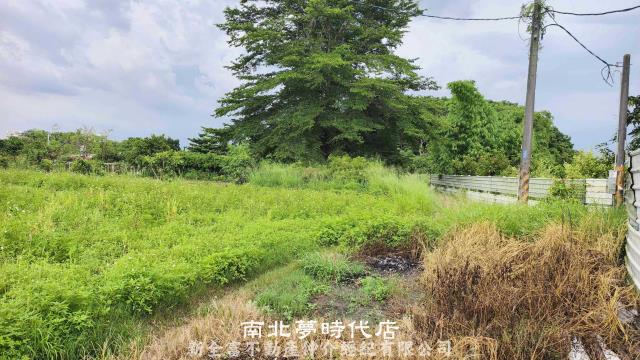 仁德農地-0