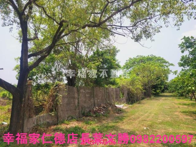 台南農地-7