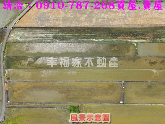 安南農地-4