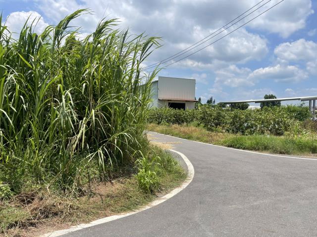 高雄農地-1