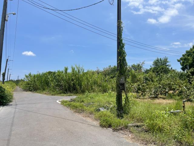 高雄農地-5