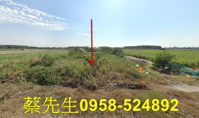 台西普令厝農保地可做農保可蓋資材室