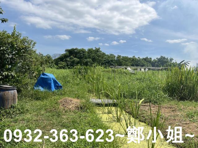 蘆竹農地-1