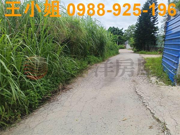 龍潭農地-3