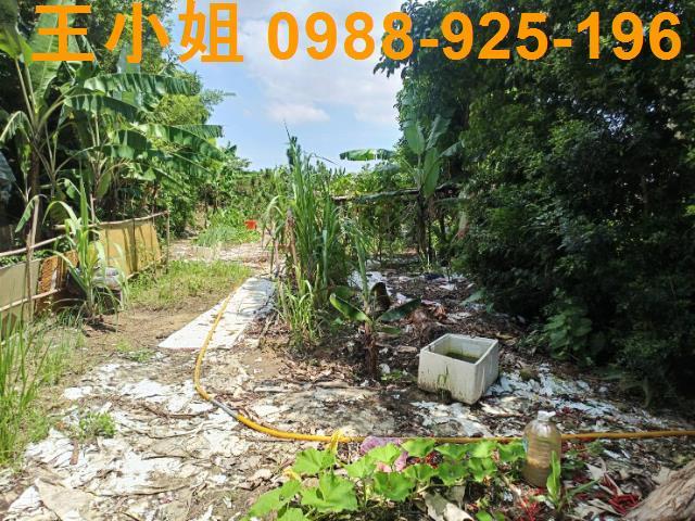 大溪農地-0