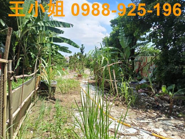 大溪農地-1