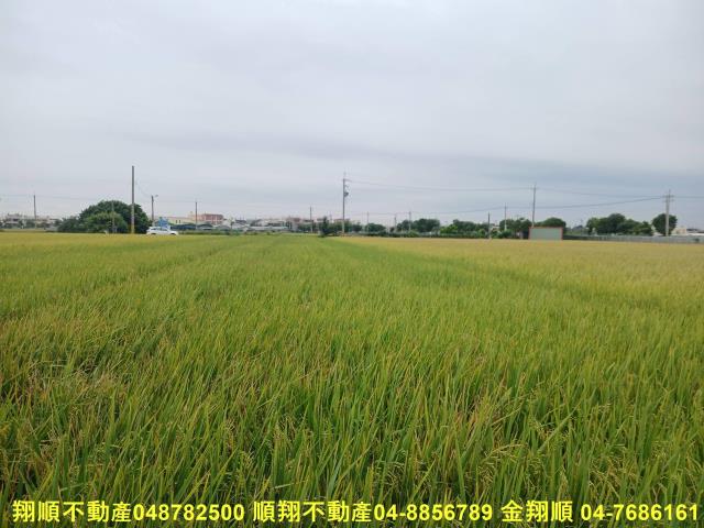 彰化埔鹽農地-2
