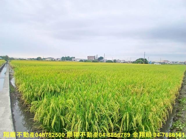 彰化埔鹽農地-4