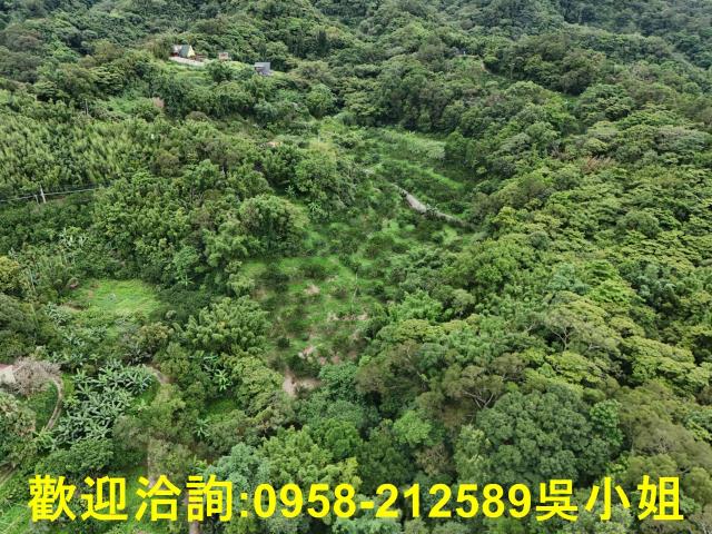 新竹關西山坡地-0
