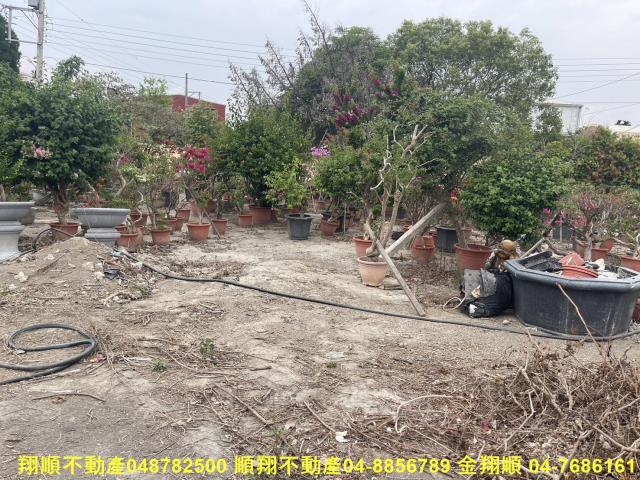 彰化永靖農地-2