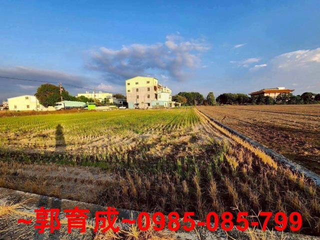 嘉義溪口農地-0