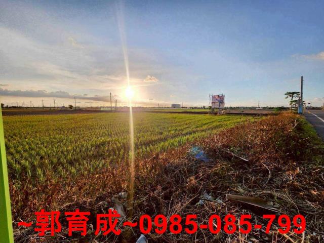嘉義溪口農地-1