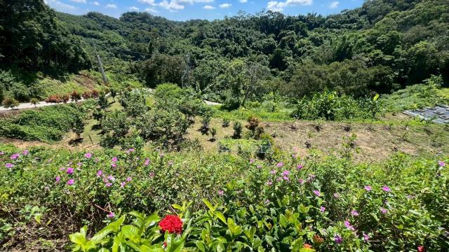 新竹寶山農地-11