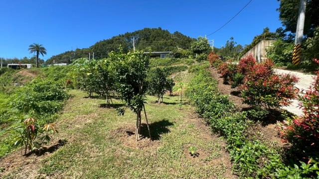 新竹寶山農地-12