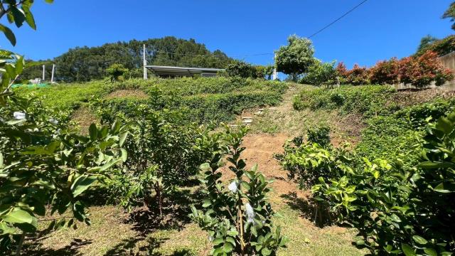 新竹寶山農地-13