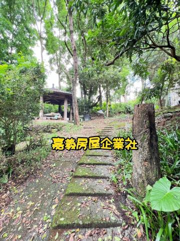 嘉義農地-5