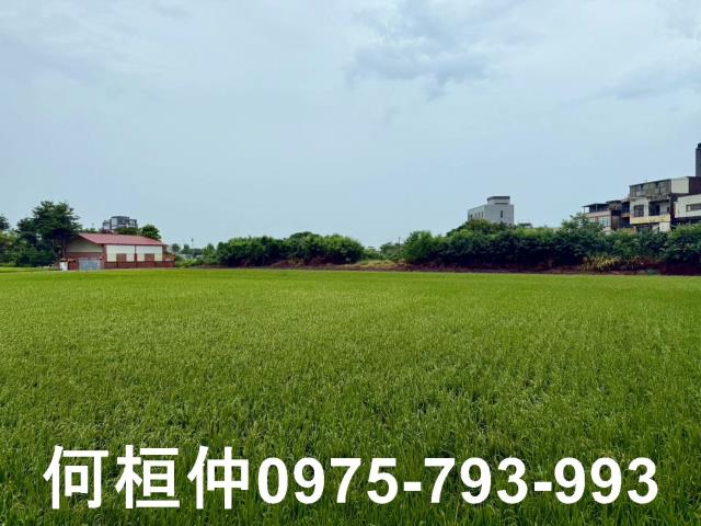 苗栗農地-2