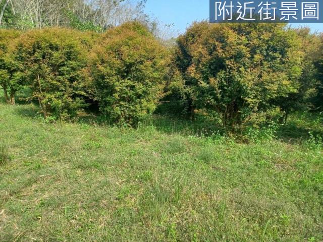 台南左鎮農地-3