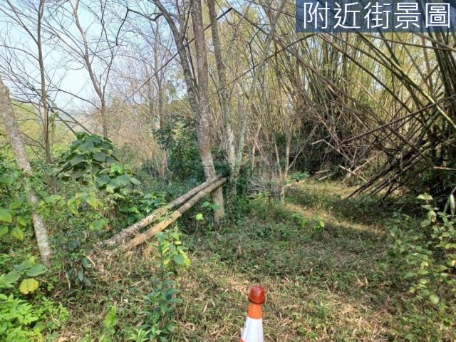 台南左鎮農地-5
