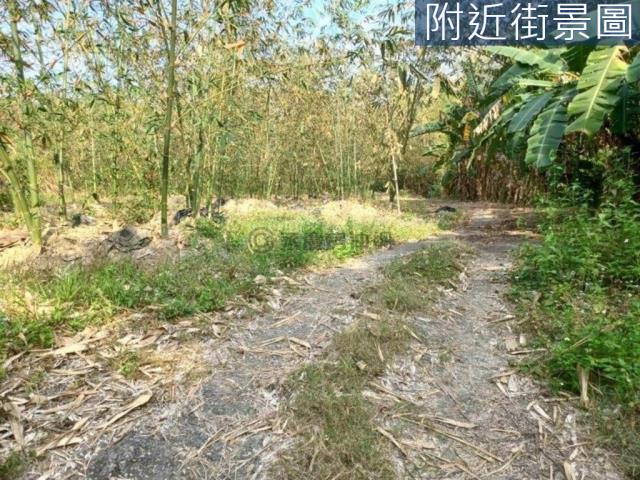 台南左鎮農地-6