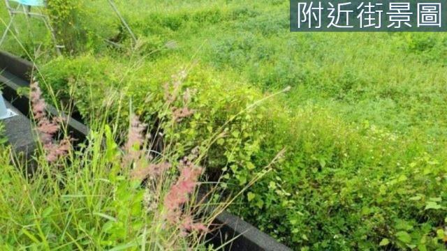 台南新市農地-6