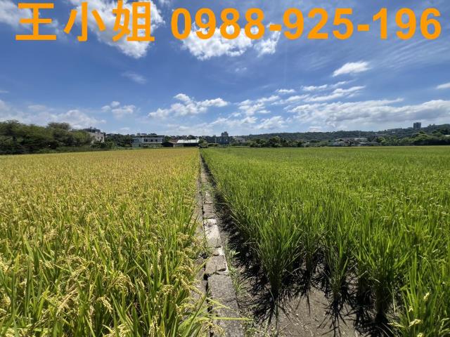 大溪農地-4
