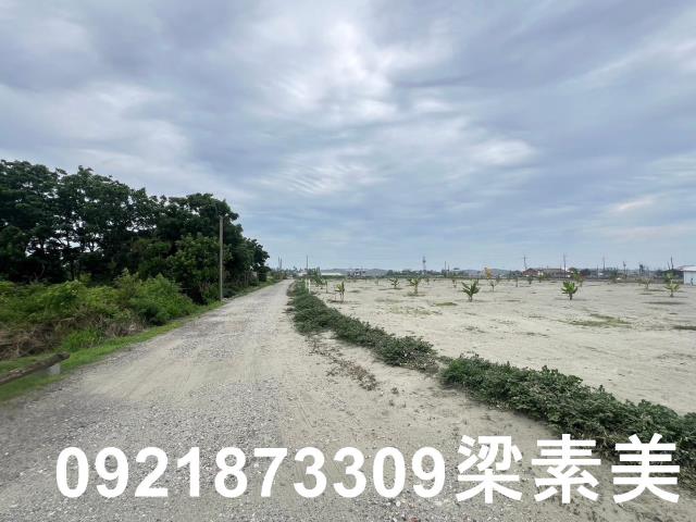 仁德農地-7