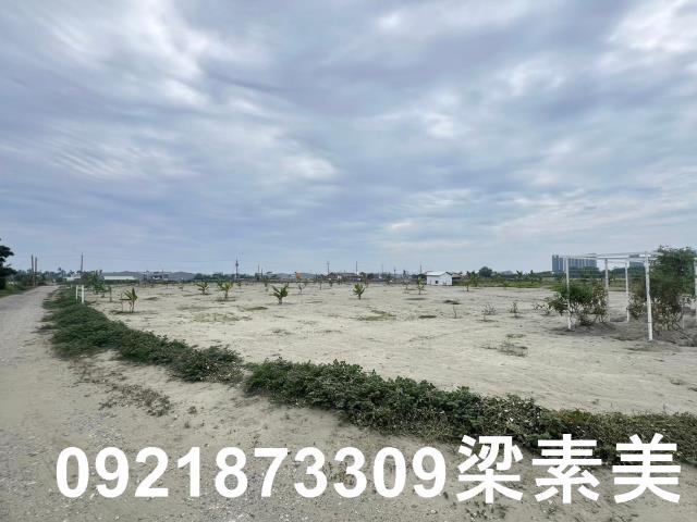 仁德農地-8