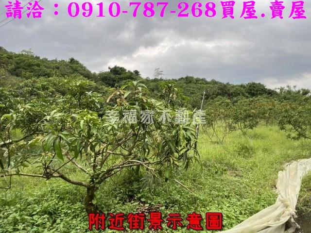 台南大內農地-10