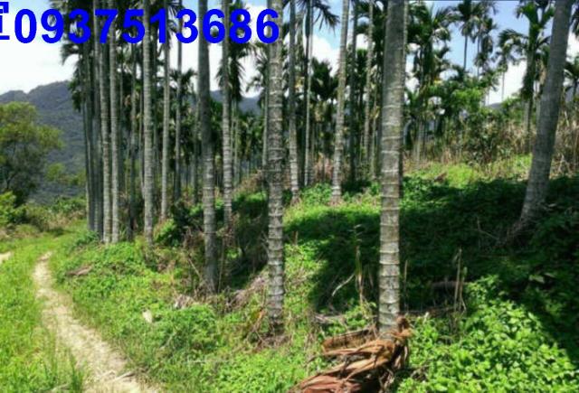 宜蘭員山農地-9