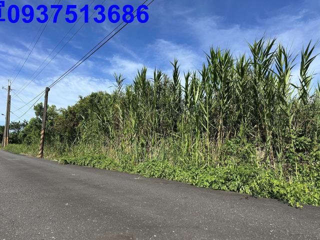 蘇澳倉儲用地-1