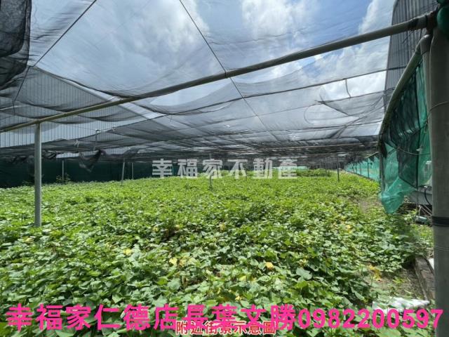 台南保護區-4
