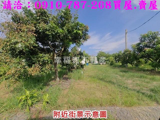 台南官田農地-1