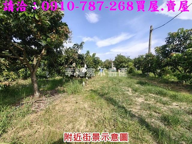 台南官田農地-3