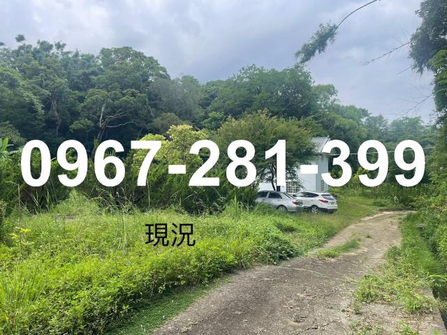 頭份農地-3