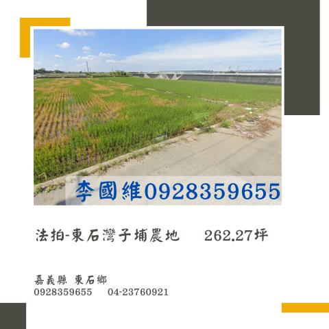 嘉義東石農地法拍-0