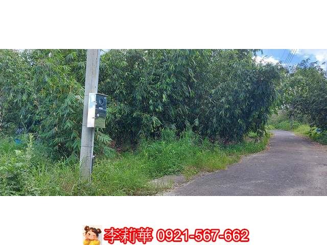 台南農地-5