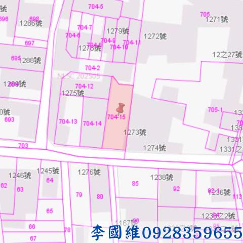 雲林建地法拍-2