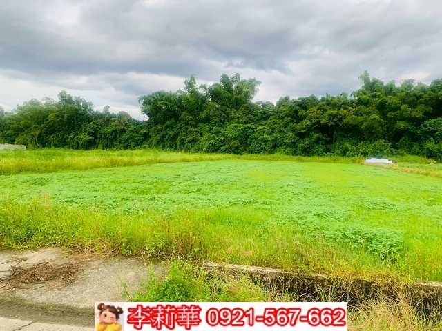 杉林農地-3